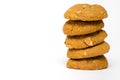 Peanut Butter Cookie Royalty Free Stock Photo