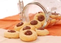 Peanut butter cookies with chocolate Royalty Free Stock Photo