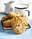 Peanut butter cookies with chocolate chips Royalty Free Stock Photo