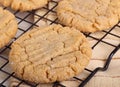 Peanut Butter Cookies Closeup Royalty Free Stock Photo