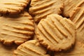 Peanut Butter Cookies Royalty Free Stock Photo