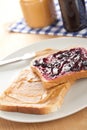 Peanut butter and jelly sandwich Royalty Free Stock Photo