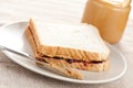 Peanut butter and jelly sandwich Royalty Free Stock Photo