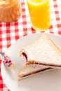 Peanut butter and jelly sandwich Royalty Free Stock Photo