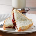 Peanut butter and jelly sandwich