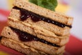 Peanut Butter and Jelly Sandwich