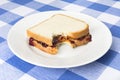 Peanut butter and jelly sandwich Royalty Free Stock Photo