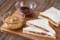 A peanut butter and jelly sandwich Royalty Free Stock Photo