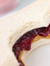 Peanut Butter And Raspberry Jelly Sandwich