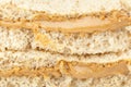 A peanut butter sandwhich Royalty Free Stock Photo