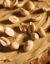 Peanut Butter Sandwich Closeup Royalty Free Stock Photo