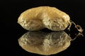 Peanut butter in shell peanuts with peanut grains close up on black reflective surface Royalty Free Stock Photo