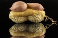 Peanut butter in shell peanuts with peanut grains close up on black reflective surface Royalty Free Stock Photo