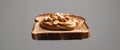 Peanut butter on whole wheat toast with peanuts Royalty Free Stock Photo
