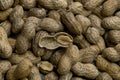 a peanut centered in the middle, opened halfway through the shell Royalty Free Stock Photo