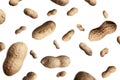 peanut composition on a white background. top view. selective focus Royalty Free Stock Photo