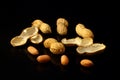Peanut on glossy black surface with reflection. Group of peanuts isolated on black backgrounds