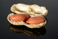 Peanut on glossy black surface with reflection. peanut with two kernels with open shell macro close-up, high resolution full depth