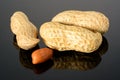 Peanut on glossy grey surface with reflection. Three whole real peanut with kernel macro close-up, high resolution full depth of
