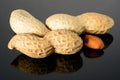 Peanut on glossy grey surface with reflection. Three whole real peanut with kernel macro close-up, high resolution full depth of