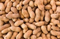 Peanut or groundnut