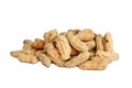 Peanut group. nuts close up on white background