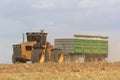 Peanut harvest in South Africa