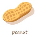 Peanut icon, isometric 3d style