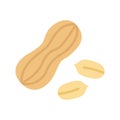 Peanut icon. Peanuts in the shell, kernel