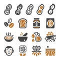 Peanut icon set