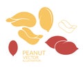 Peanut. Icon set