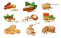 Peanut icons set, cartoon style