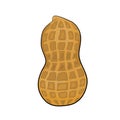 Peanut illustration