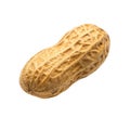 Peanut isolated on transparent background Royalty Free Stock Photo