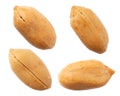 Peanut isolated on white background, Roasted salted peanuts isolated on white background Royalty Free Stock Photo