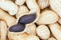 peanut kernel Royalty Free Stock Photo