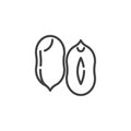 Peanut kernel line icon