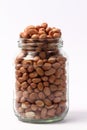 Peanut kernels Royalty Free Stock Photo