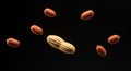 Peanut kernels and a whole peanut shell are suspended against a black Royalty Free Stock Photo