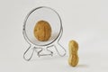 Peanut looking in the mirror and seeing itself as a walnut - Concept of dysmorphobia, anorexia, distorted self-image Royalty Free Stock Photo