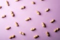 Peanut minimal pattern on purple background backdrop food nut texture