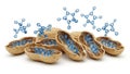 Peanut Molecules and DNA Strands in Shells on White Background peanuts legume Royalty Free Stock Photo