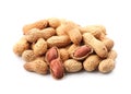 Peanut nuts isolated Royalty Free Stock Photo