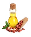 Peanut oil in a glass bottle with peanuts in scoop Royalty Free Stock Photo