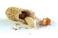 Peanut opened macro Royalty Free Stock Photo