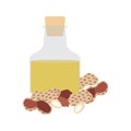 Peanut organic oil in glass bottle vector illustration