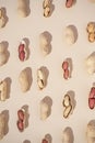 Peanut pattern on a light pastel beige background with peeled and unpeeled beans. Flat lay creative arrangement.