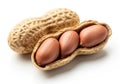 Peanut pod with three kernels isolated on white background Royalty Free Stock Photo
