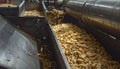 Peanut Processing on an Industrial Production Line Royalty Free Stock Photo