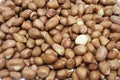 Peanut Royalty Free Stock Photo
